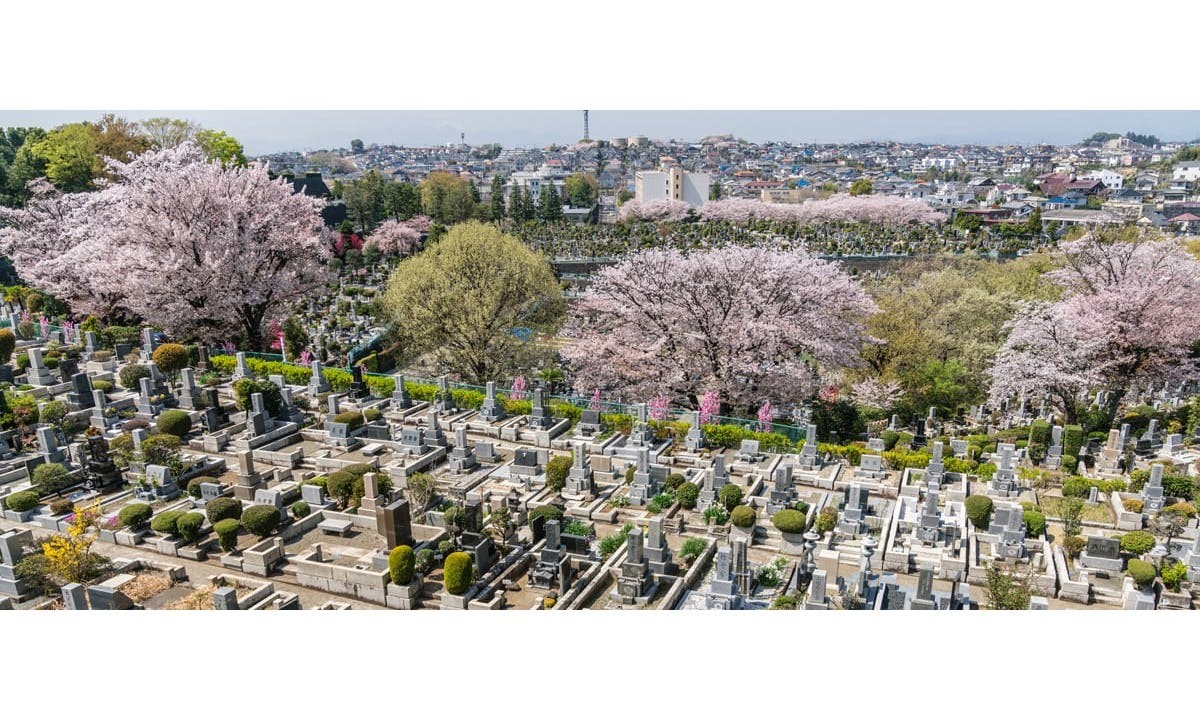 日野公園墓地へ行ってきました 特定行政書士横須賀典正のブログ