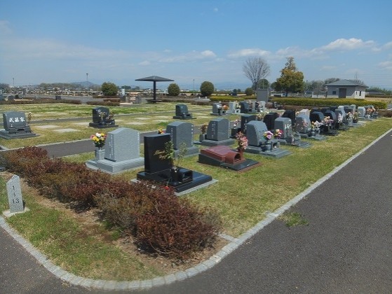 1229413692-107860_1.jpg
