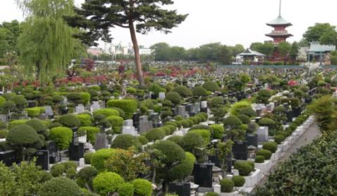 「青葉園(埼玉県さいたま市西区三橋5-1505)」の画像検索結果
