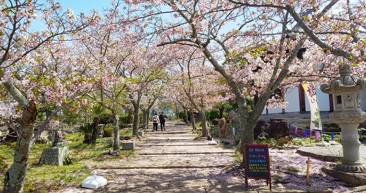 道後聖墓苑(松山市)の費用・販売中区画・口コミ【いいお墓】