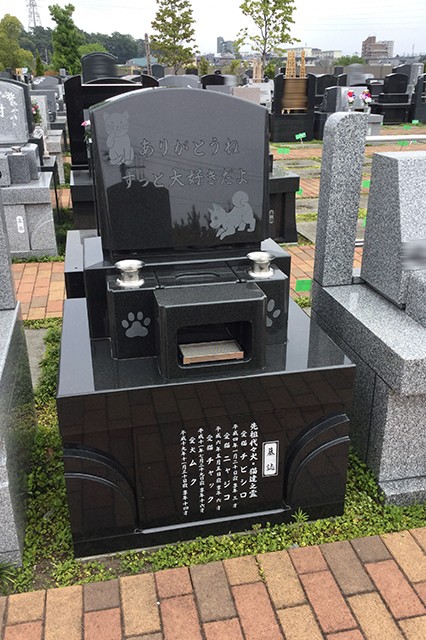 サニープレイス所沢 事例