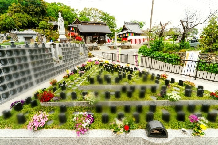 熊谷深谷霊園_樹木1新