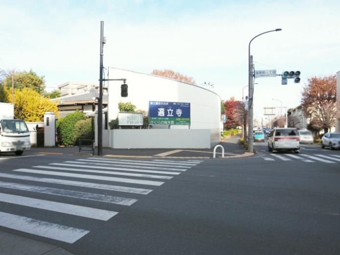 樹木葬 田無さくら庭園_道路1