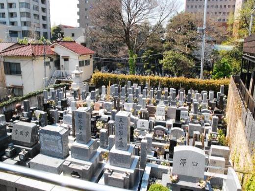 見晴らしのよさはバツグン! 見晴らしのよさはバツグン!