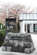 「北中央入口」からみた霊園中央通り 「北中央入口」からみた霊園中央通り