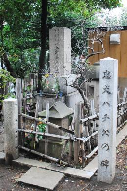 忠犬ハチ公の碑を発見!帰りを待ち続けた上野博士の隣で今は安心して眠っている 忠犬ハチ公の碑を発見!帰りを待ち続けた上野博士の隣で今は安心して眠っている
