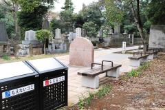 「北中央入口」からみた霊園中央通り 「北中央入口」からみた霊園中央通り