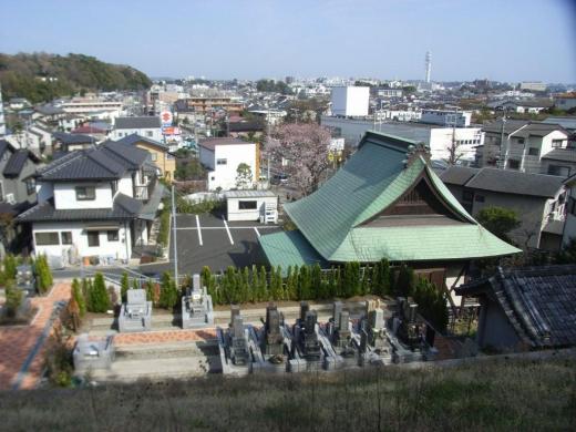 霊園の全景 霊園の全景