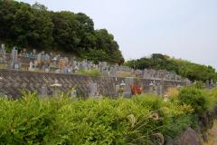道路には大きな看板が出ている 道路には大きな看板が出ている