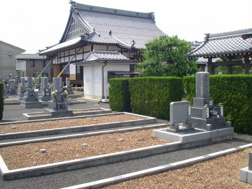 階段などの、段差がないバリヤフリーだ 階段などの、段差がないバリヤフリーだ