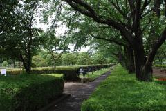 合葬式墓地 合葬式墓地