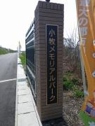 霊園内 霊園内